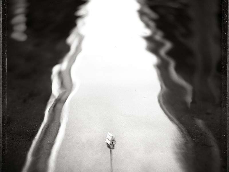 Photography | POLLY&nbsp;CHANDLER