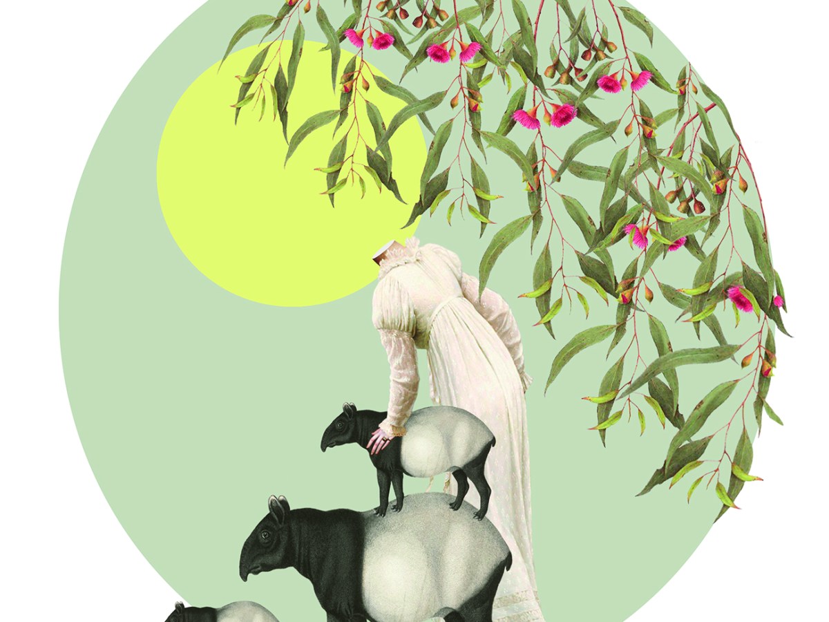 Digital Collages | Marta de los&nbsp;Pájaros