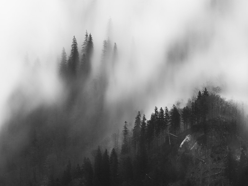 Photography | MAGDA&nbsp;CHUDZIK