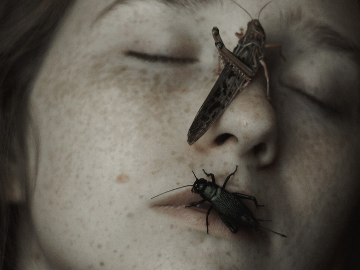 Fine Art Photography | Daria&nbsp;Amaranth