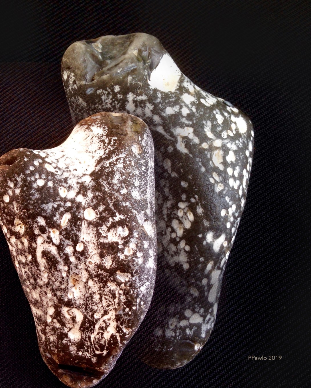 Him and Her 3 2019 NMAG S