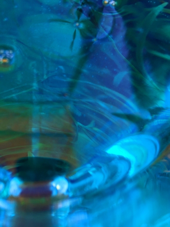 350.Photopaintings Love Affair#121