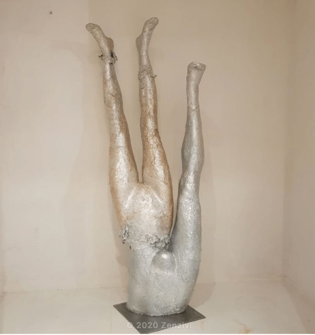 ZENZIVI NUMERO SIAMOIS