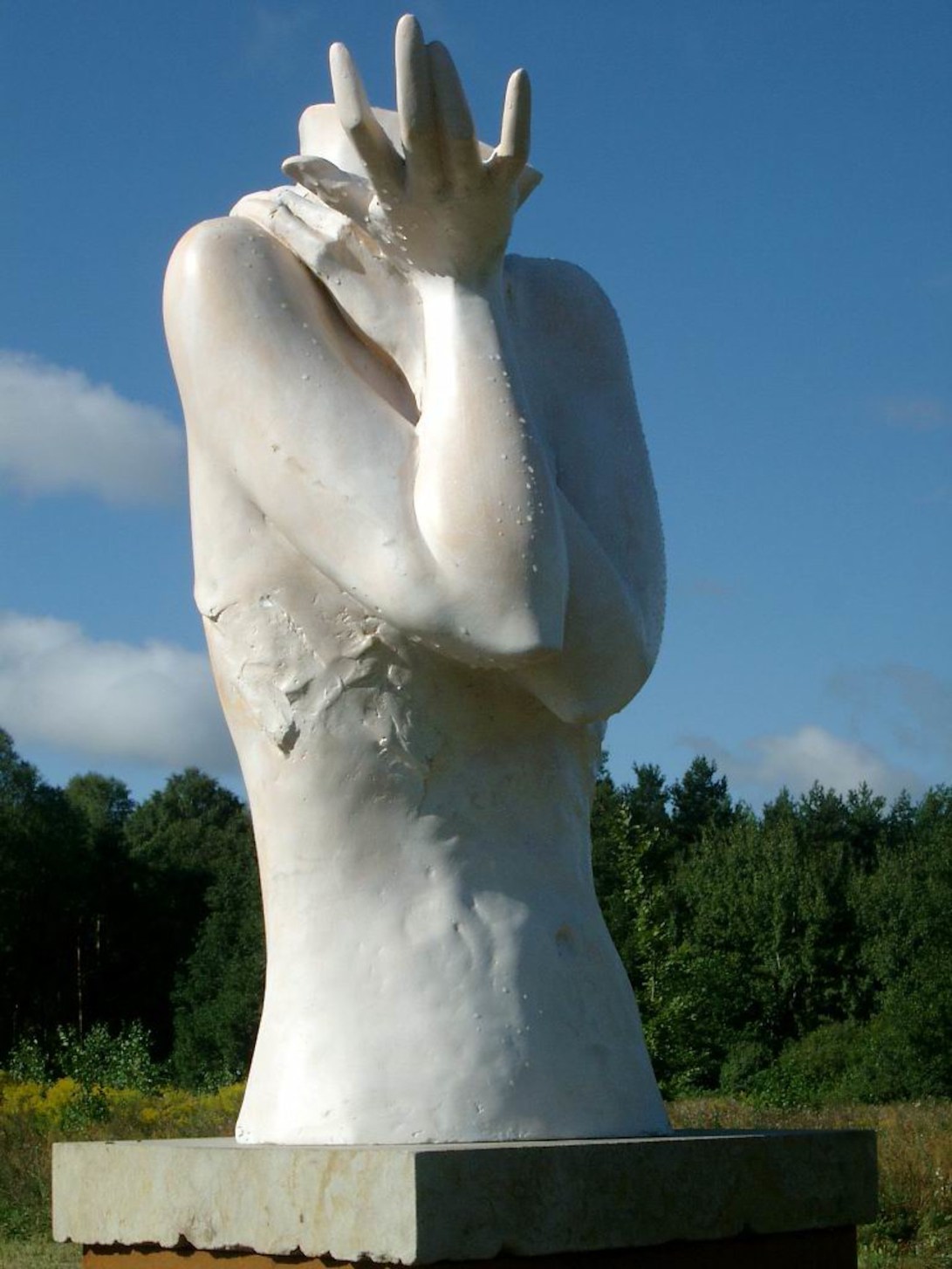 ACD Systems Digital Imaging