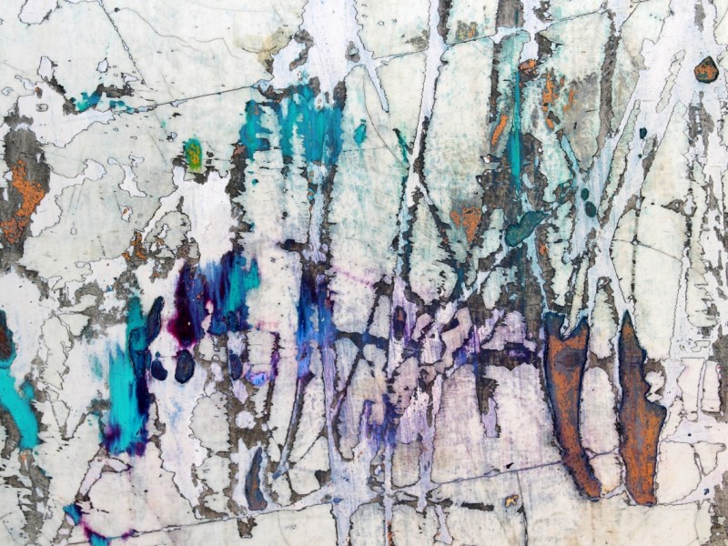 Macro Photography | Roberto&nbsp;Alborghetti